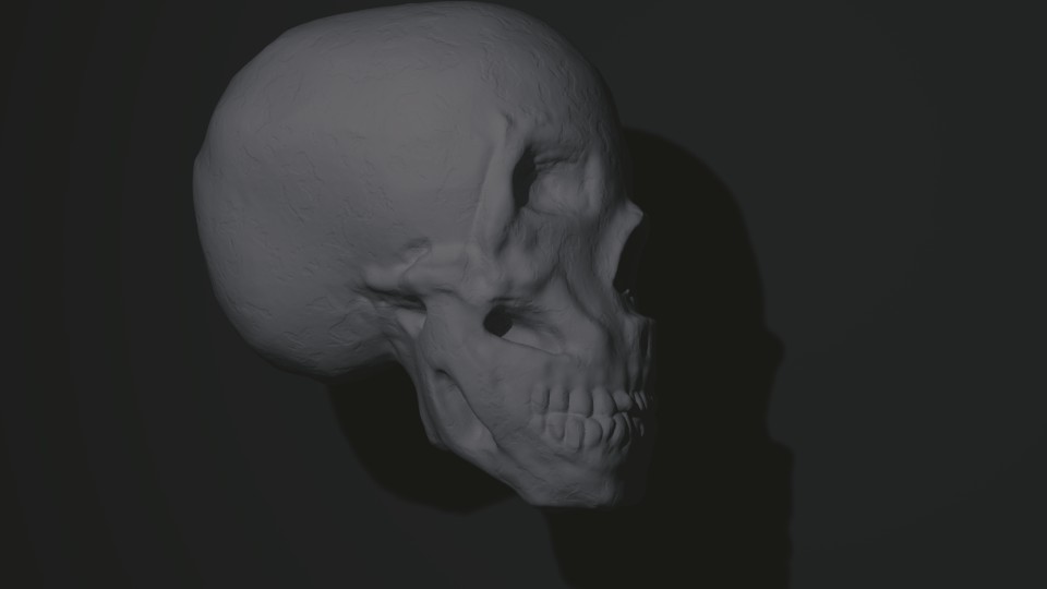 skull preview image 1